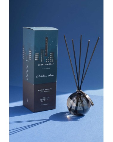 Namų kvapas Odoro Mood Gentleman, 90 ml